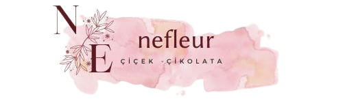 nefleyr-logo